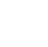 SANS Project Report